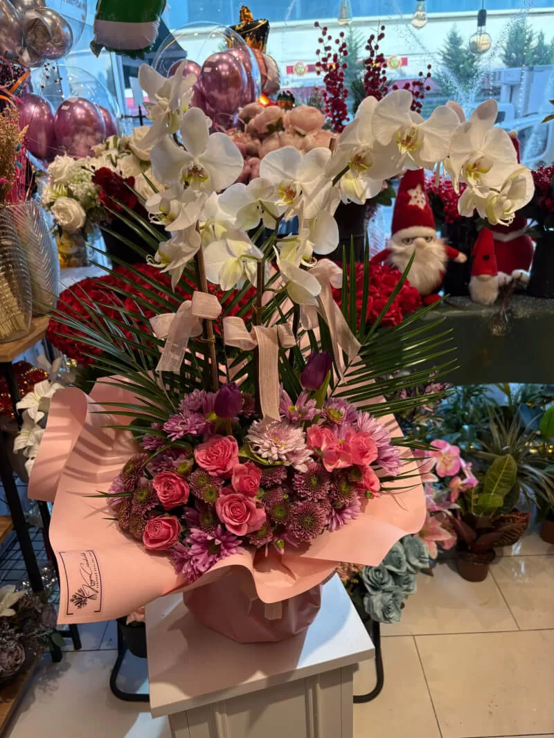 Pembe Mor Aranjmanlı Beyaz Orkide Aranjmanı