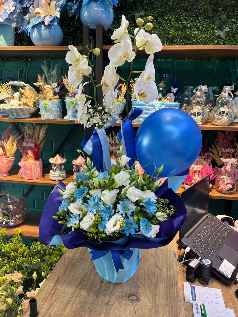 Erkek bebek mavi balonlu orkide aranjmanı 